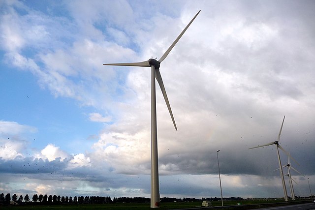 Are wind turbines bird-killers? Research suggests not