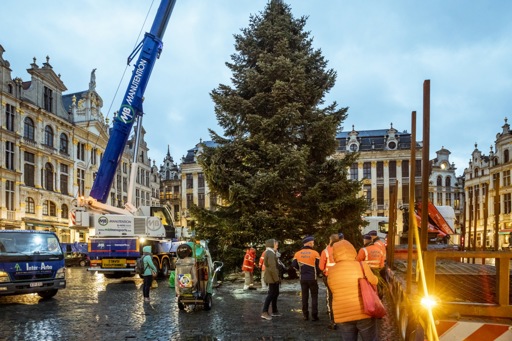 Traditional Christmas tree installed on the Grand-Place in Brussels