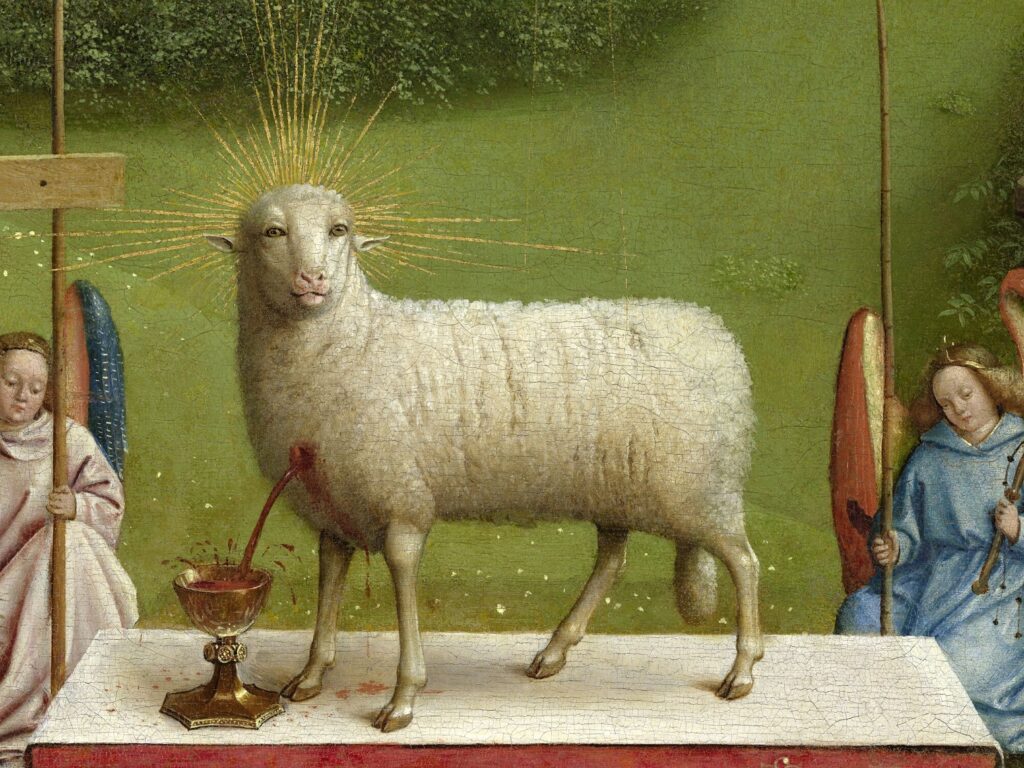 Sacred lamb