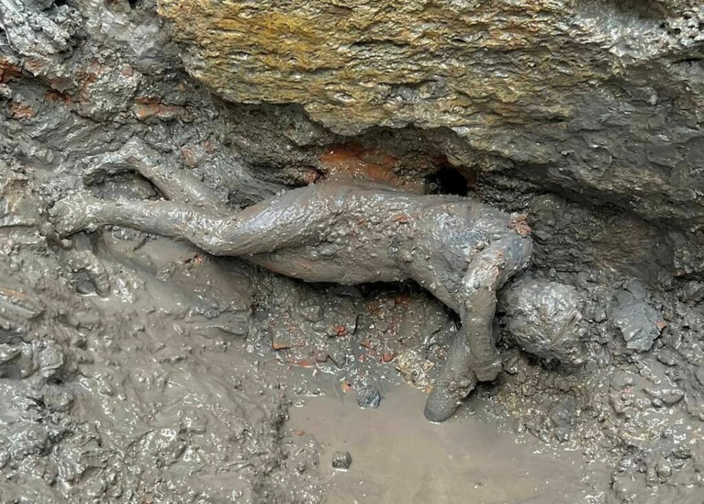 'Unprecedented' discovery of 2,000 year-old bronze deities in Italy
