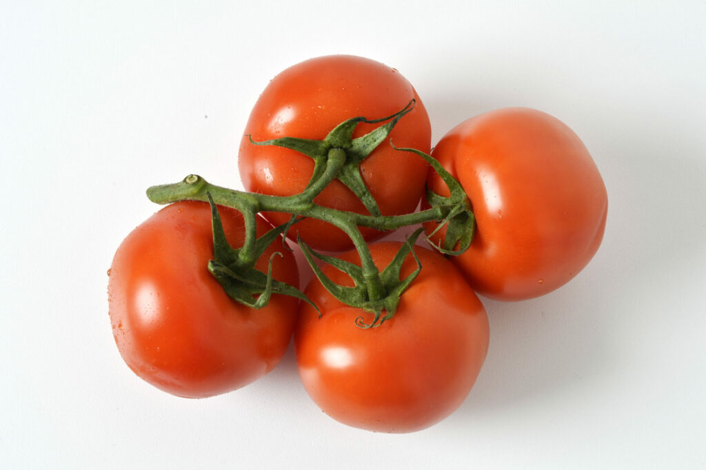 Tomato producers investigated for unauthorised virus research