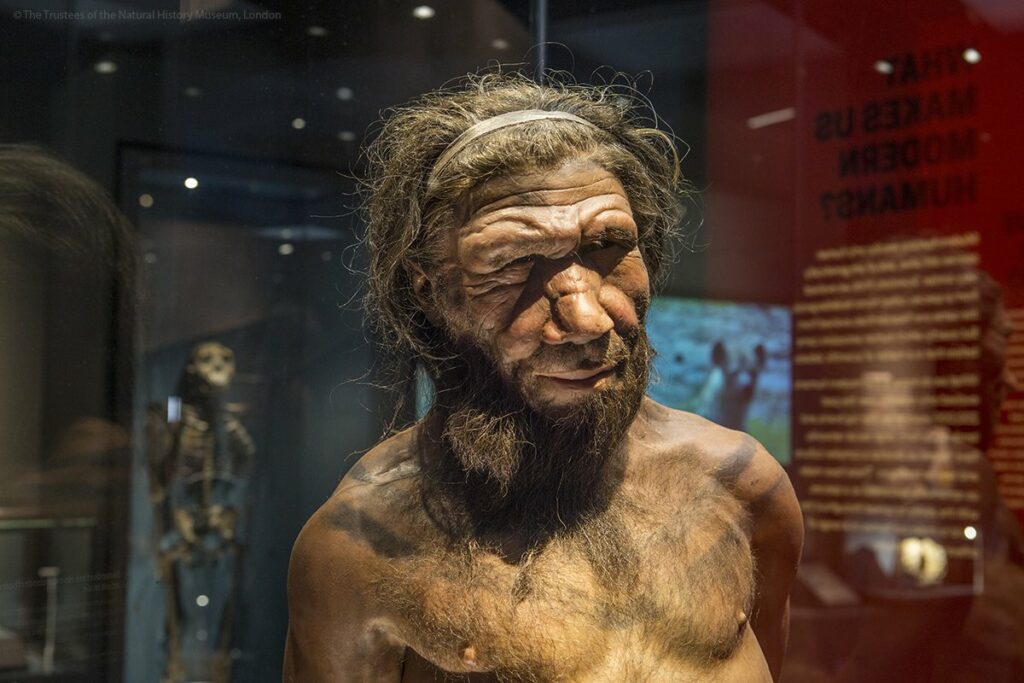 Did sex kill the Neanderthals?