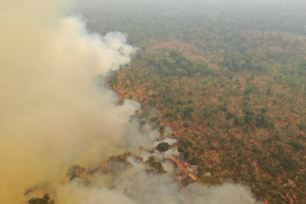 Brazilian Amazon: Crimes against nature are also crimes against humanity