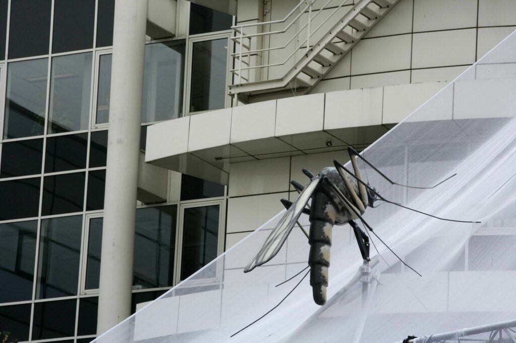 'Unexpected and disturbing': High number of tiger mosquitoes in Belgium