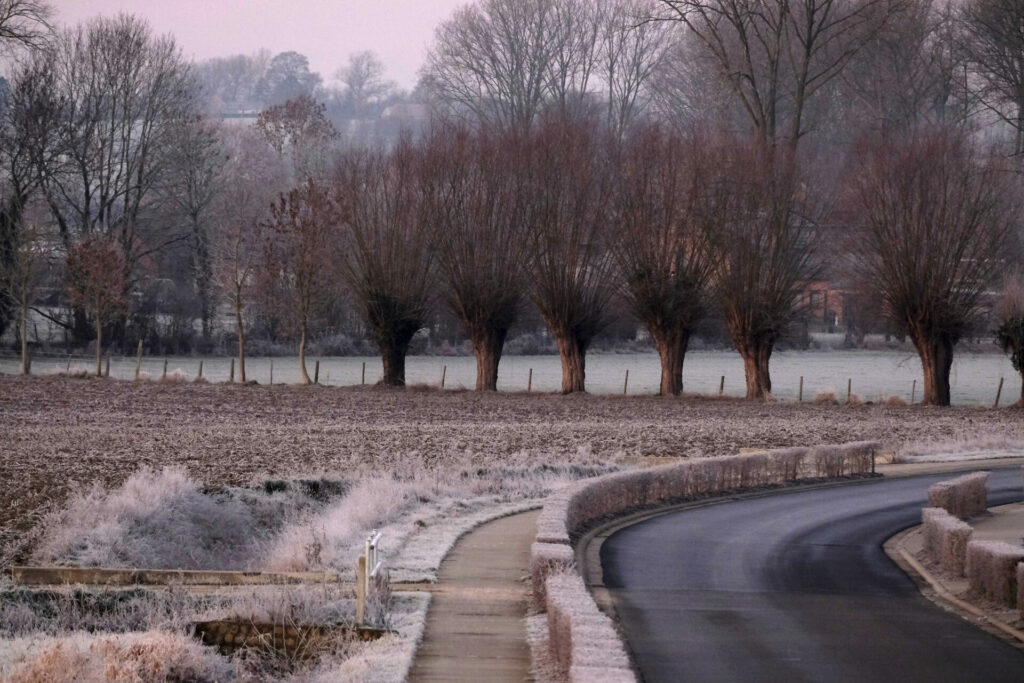 Heavy frosts expected again on Sunday morning