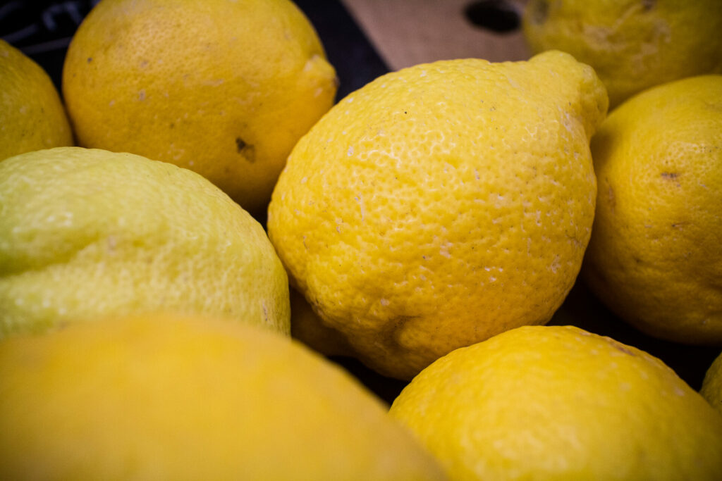 Lemons provide key to recovering from festive excess