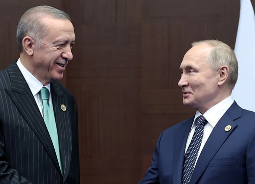 Erdogan calls on Putin to implement 'unilateral ceasefire' in Ukraine