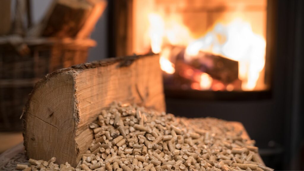 How cheap and green are wood pellets really? Not very, warn experts