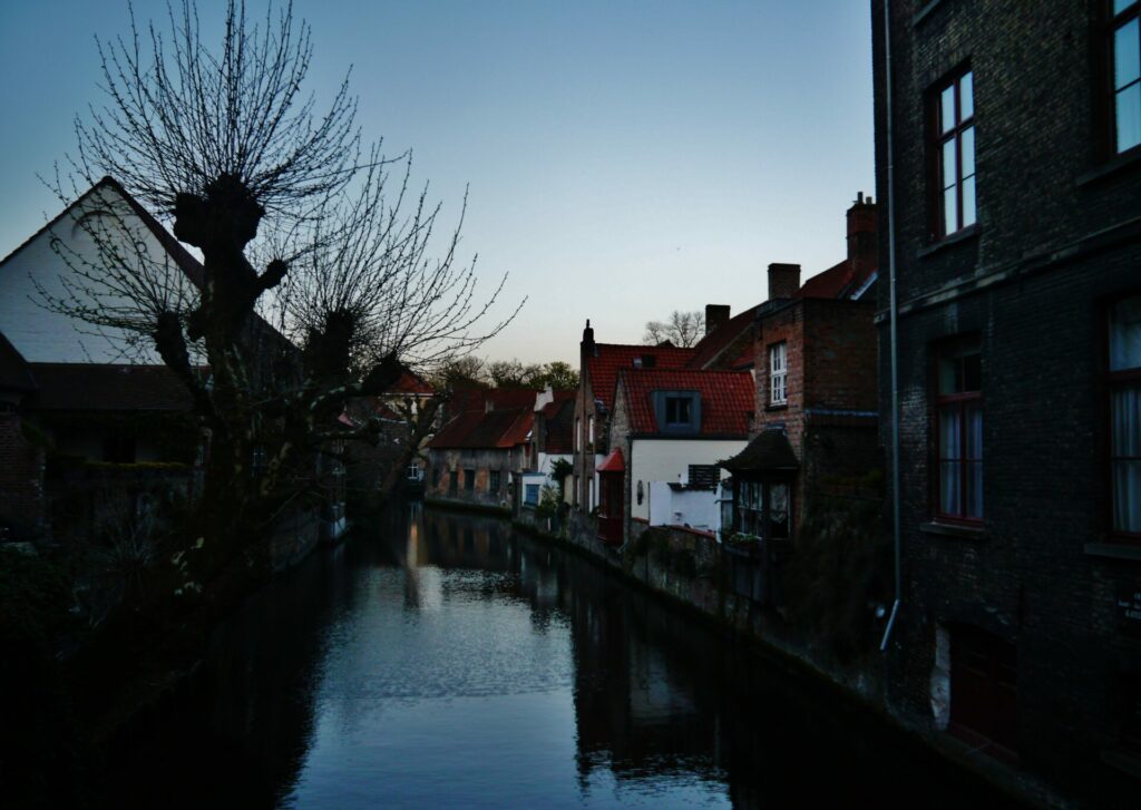 Mother arrested after baby corpse found in rubbish bin in Bruges