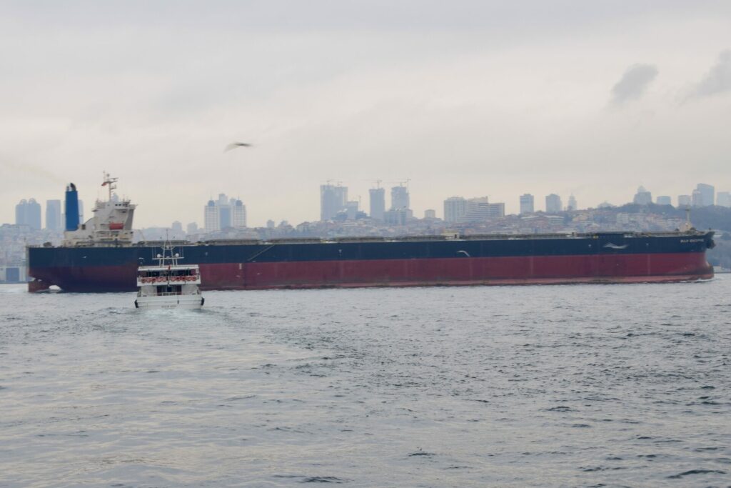 Ukrainian freighter runs aground in Bosphorus Strait