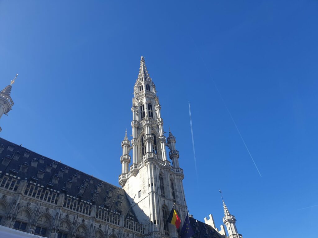 Warmest 24 November since records began in Belgium