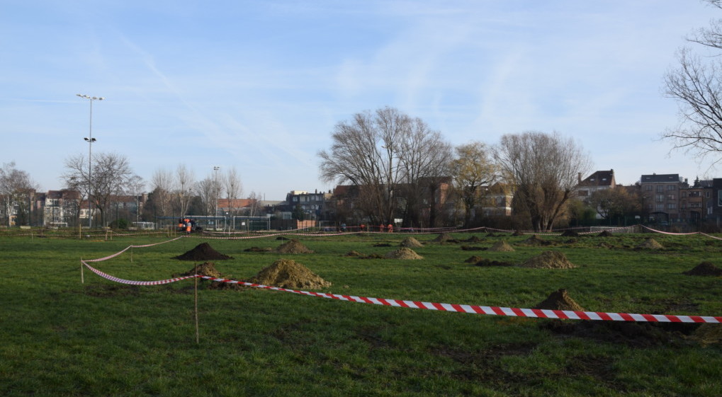 Brussels tests the adaptation of fruit trees to global warming