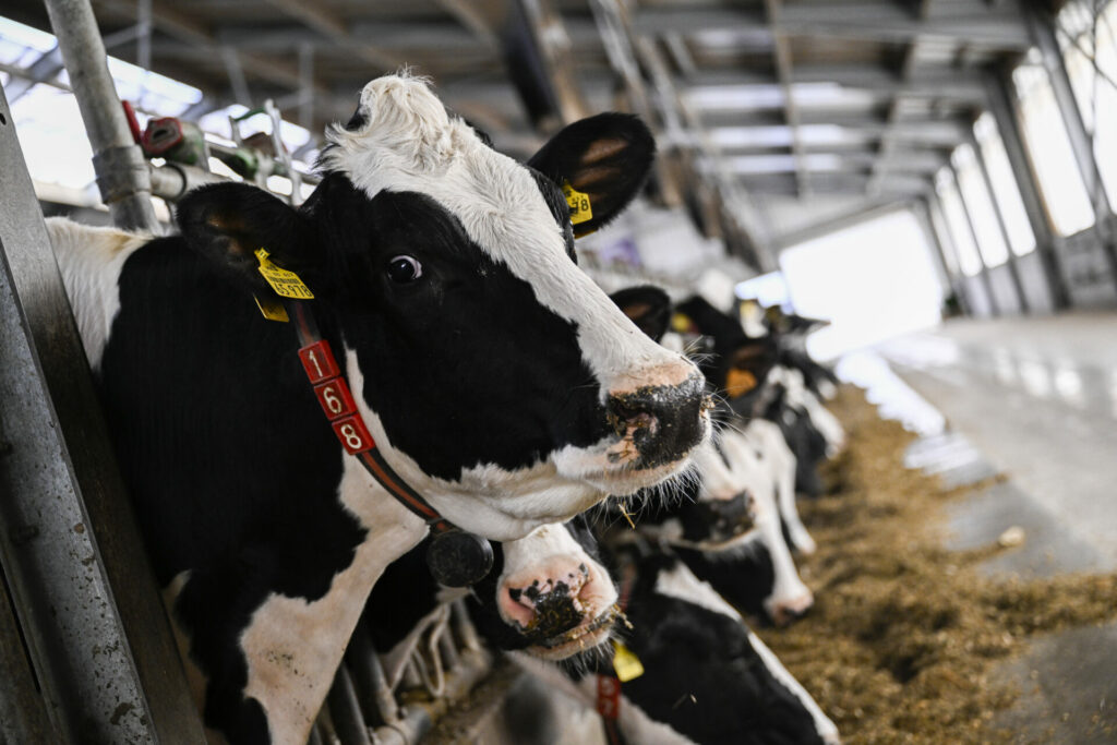 Belgian farmers slam Commission proposal to slash agriculture budget