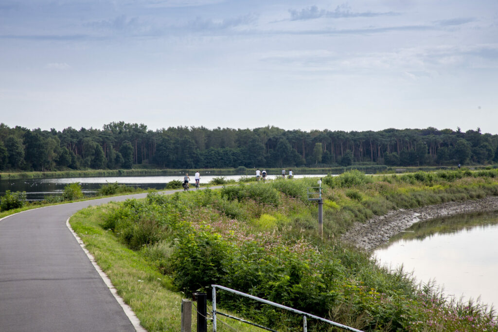 Body of young woman who fell into Senne river has been found