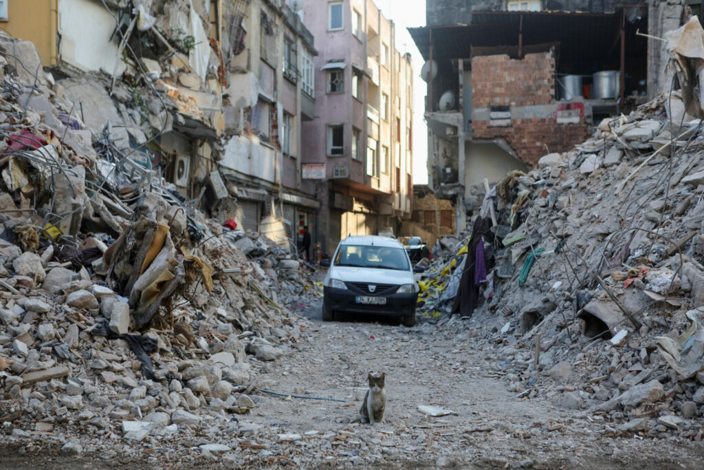 Turkey asks landlords to provide housing for earthquake victims