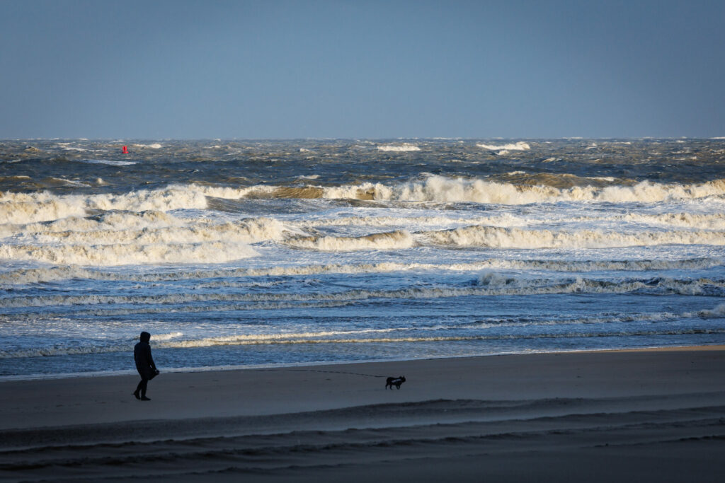 Experts assure public over toxic chemicals found in sea foam off Belgian Coast