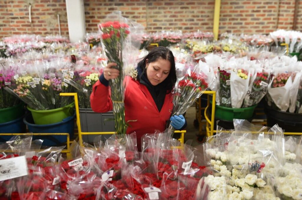 Inflation will not stop Belgians from expressing their love with flowers, florists say