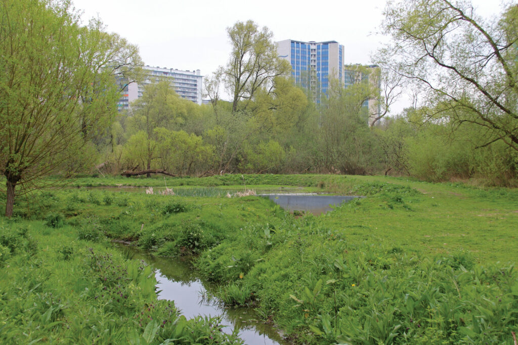 All Brussels municipalities now use online portal for environmental permits