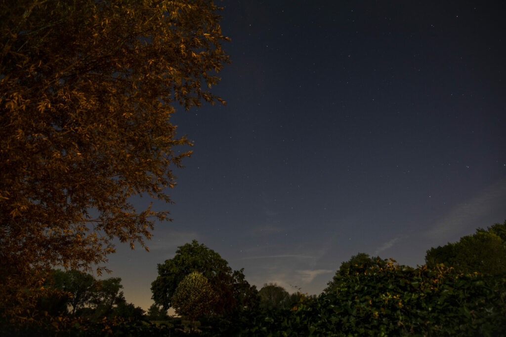 Look up this weekend: Rare 'planetary parade' will grace Belgian sky