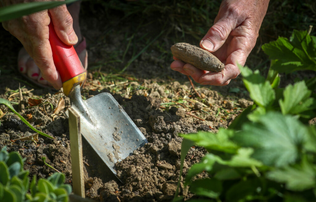 Wallonia offers premiums for private soil pollution analyses