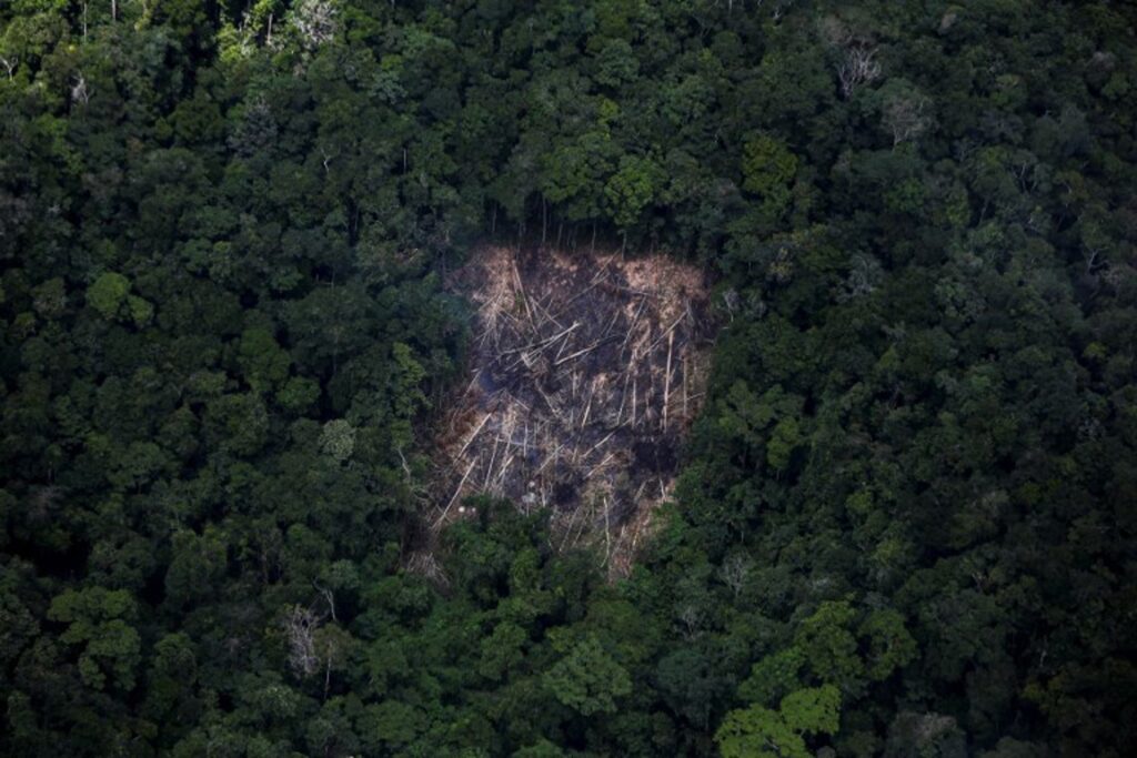 Tropical deforestation significantly reduces rainfall, study shows