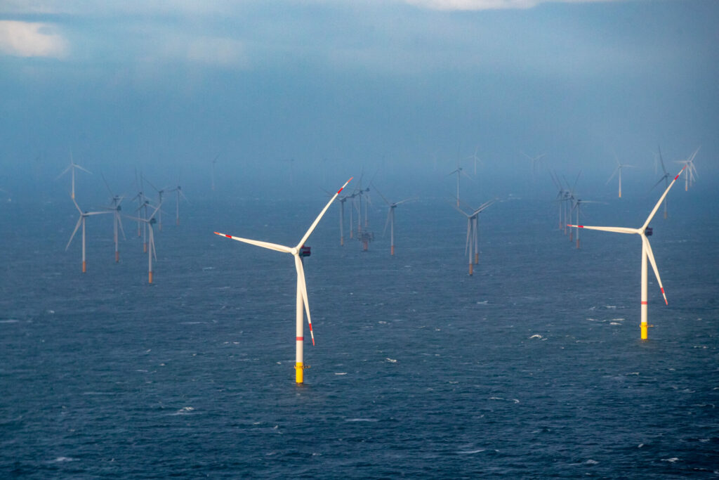 Belgian wind farms had no negative impact on nearby environment, report says