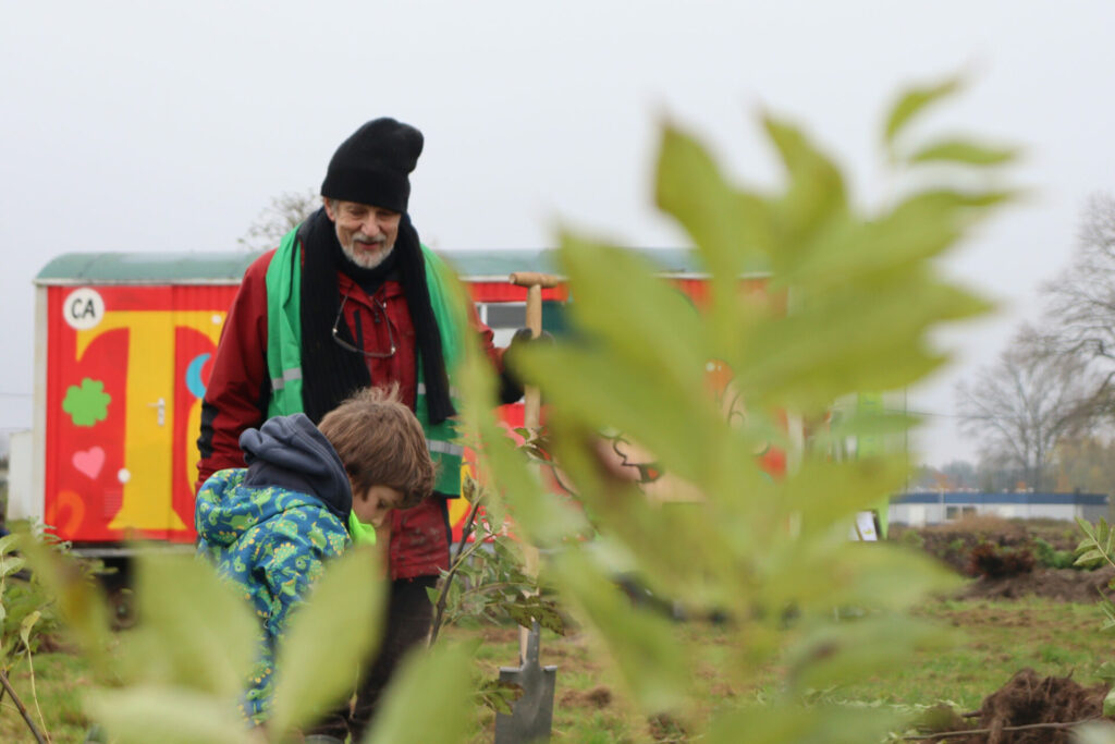 Flanders to plant 100,000 more trees around Brussels