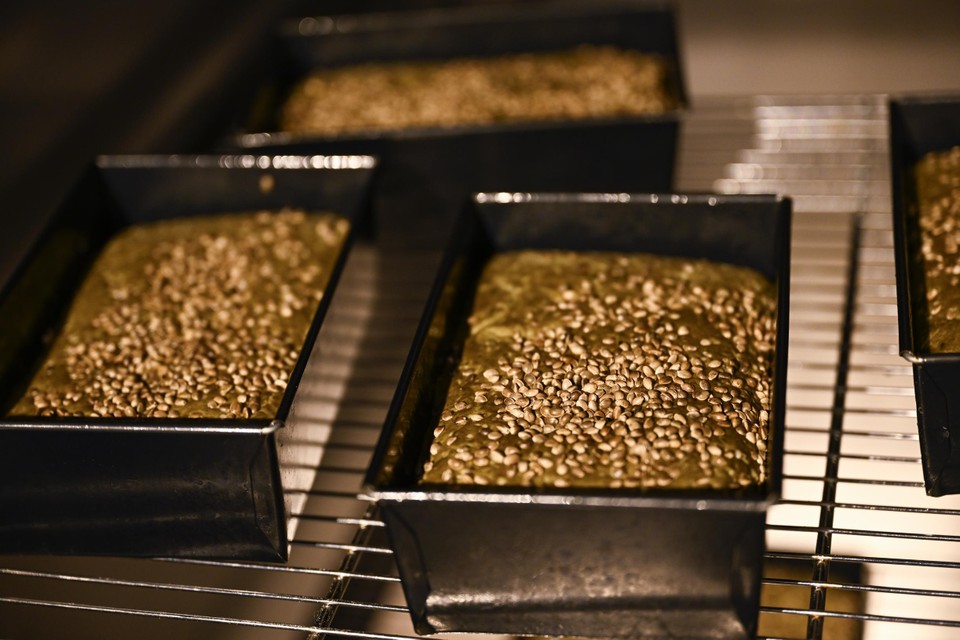 Le Pain Quotidien to start selling cannabis bread