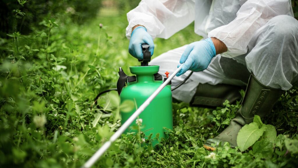 EU told to reduce use of 'devastating' pesticides