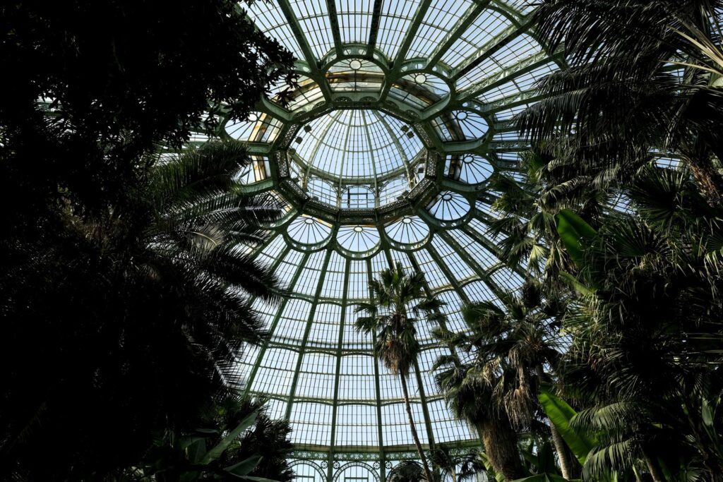 Royal Greenhouses in Laeken open to the public until 7 May