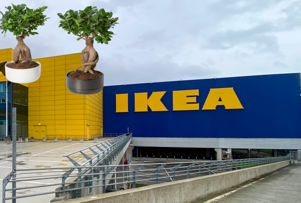 IKEA recalls plants contaminated with hazardous worm