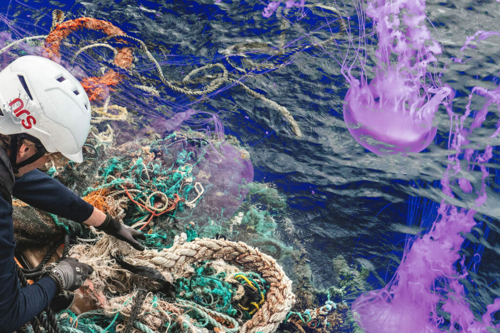 Pacific 'plastic continent': So big that it developed marine life