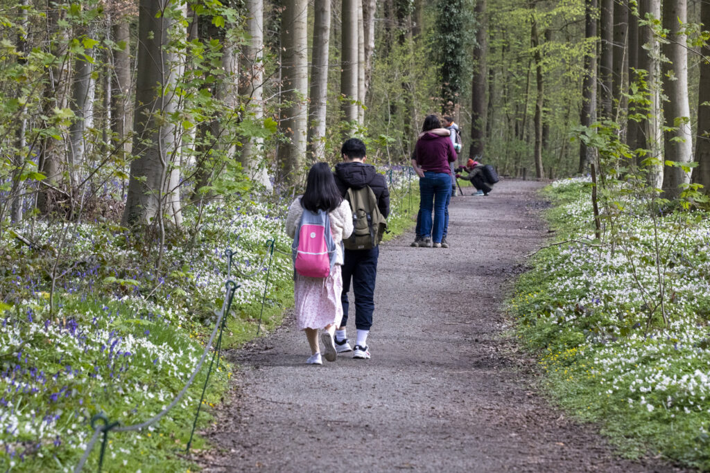 Belgian Heart League launches initiative to improve heart health nationwide