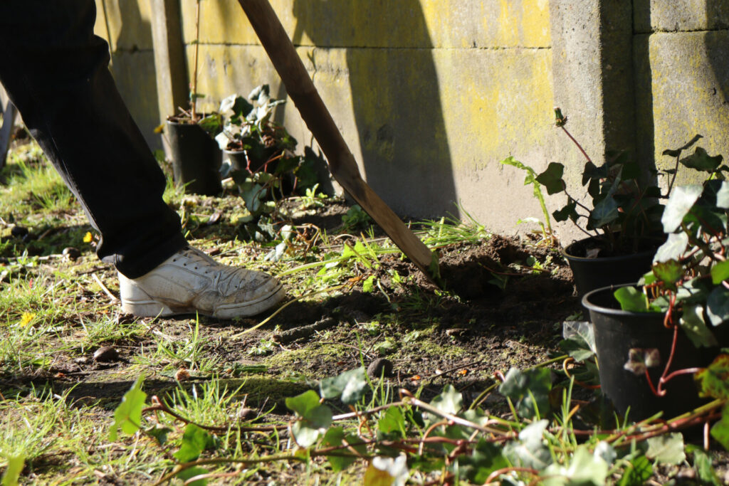 Digging deeper: Most of Brussels' soil polluted and damaged