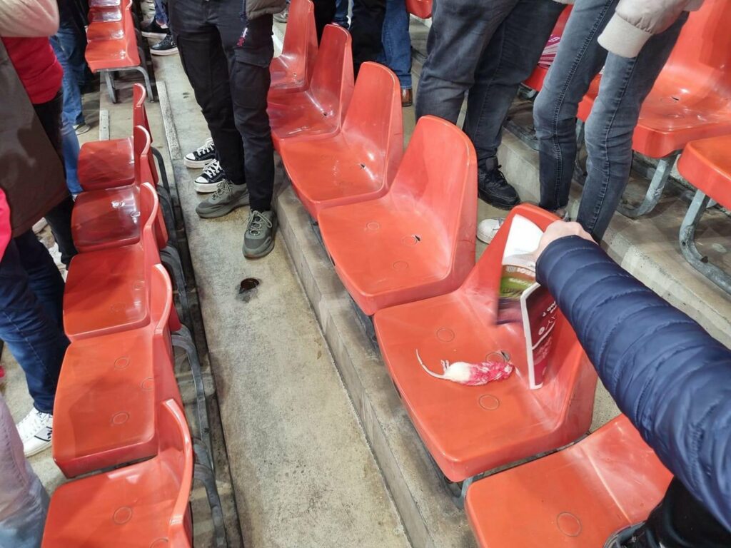 Charleroi fans face travel ban after throwing dead rats