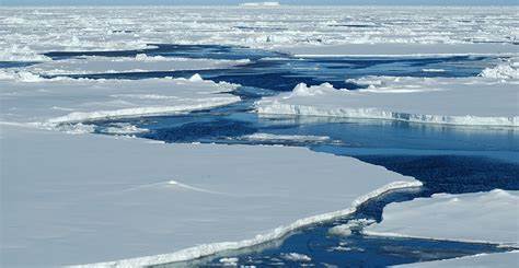 Antarctic sea ice reached its second lowest level in March