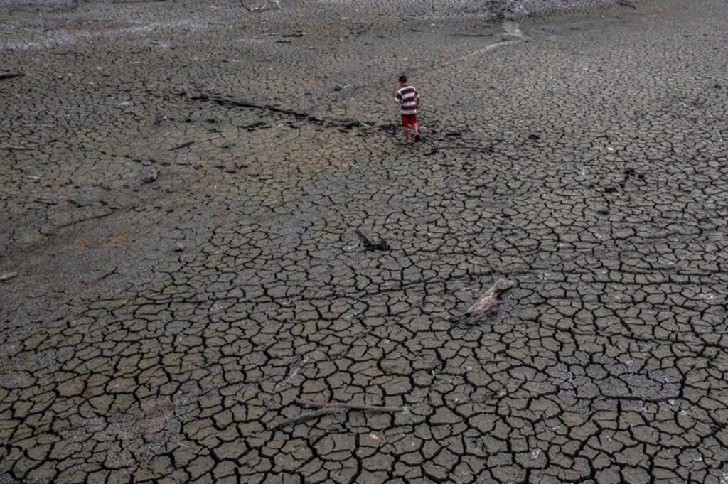World needs to brace for record El Niño temperatures, says UN