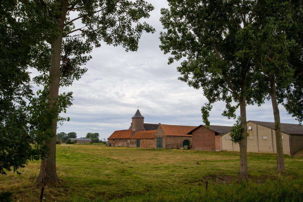 Fewer farms but more farmland in Wallonia
