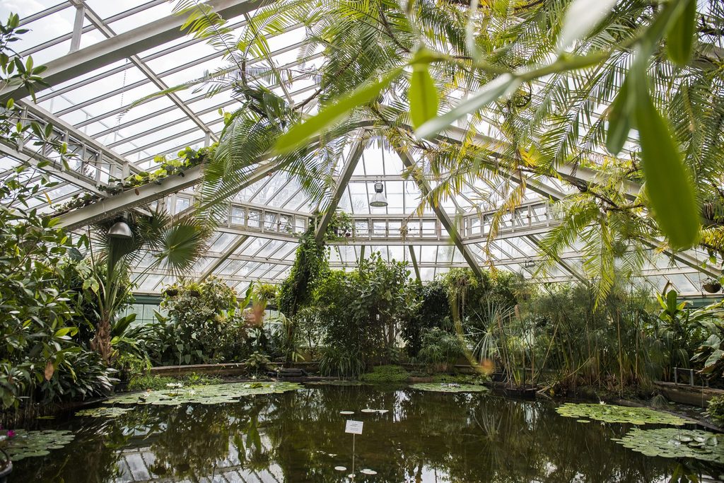 Hundreds of people gather for 'Belgium's longest lunch table' at Meise Botanic Garden