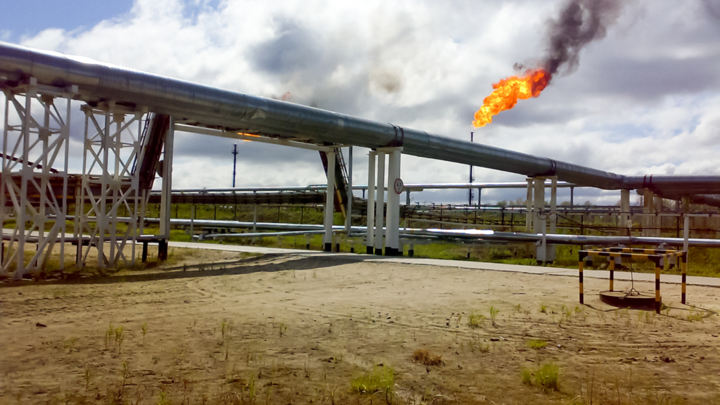 European Parliament calls for methane and petrochemical reduction targets