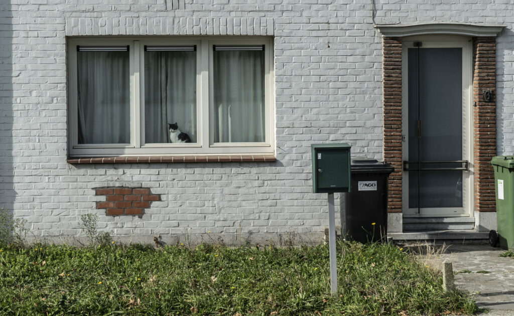 3,000 Brussels households miss out on rent aid