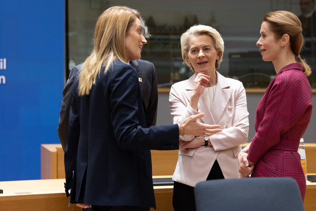 Nature restoration law: EU's von der Leyen willing to relax regulations