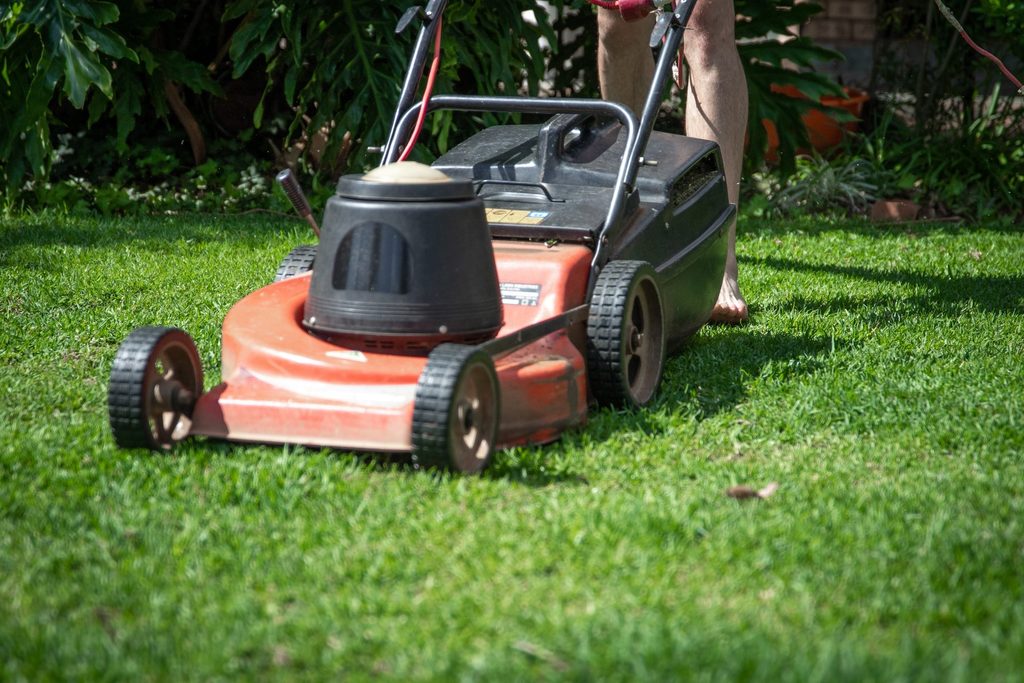 Belgians urged not to mow their lawns