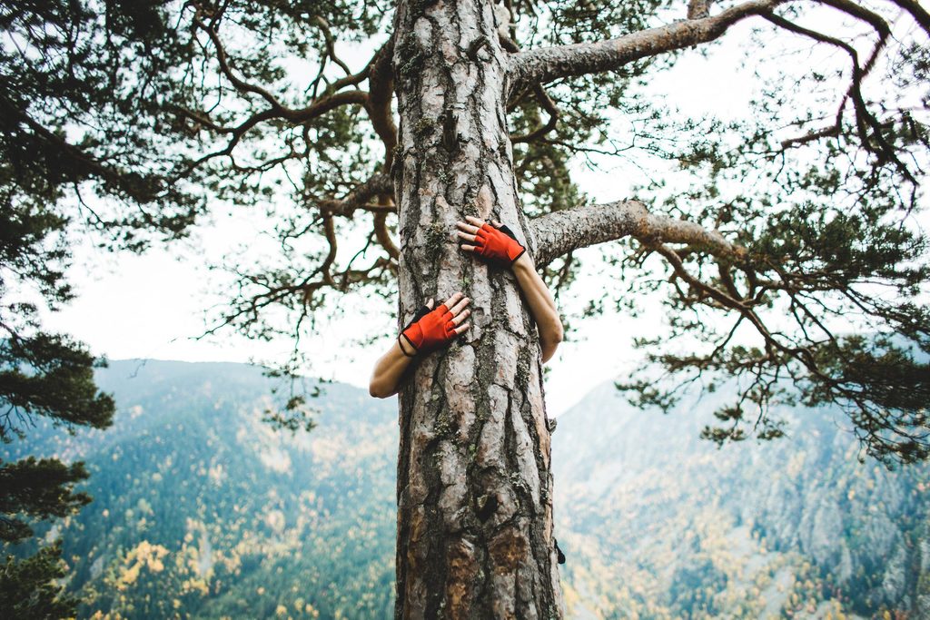 Ecosexuality Love And Nature Artistic Performance Causes Controversy