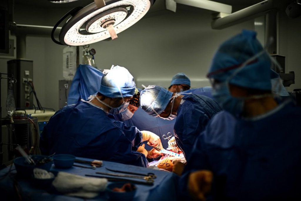 'Revolutionary' results: UCLouvain breakthrough in organ transplant rejection