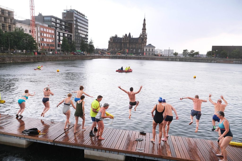 Taking the plunge: Hundreds of clean water campaigners dive into Belgian rivers and canals