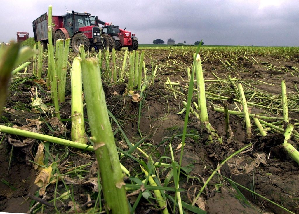 Belgium on the brink of crop failure, food industry warns