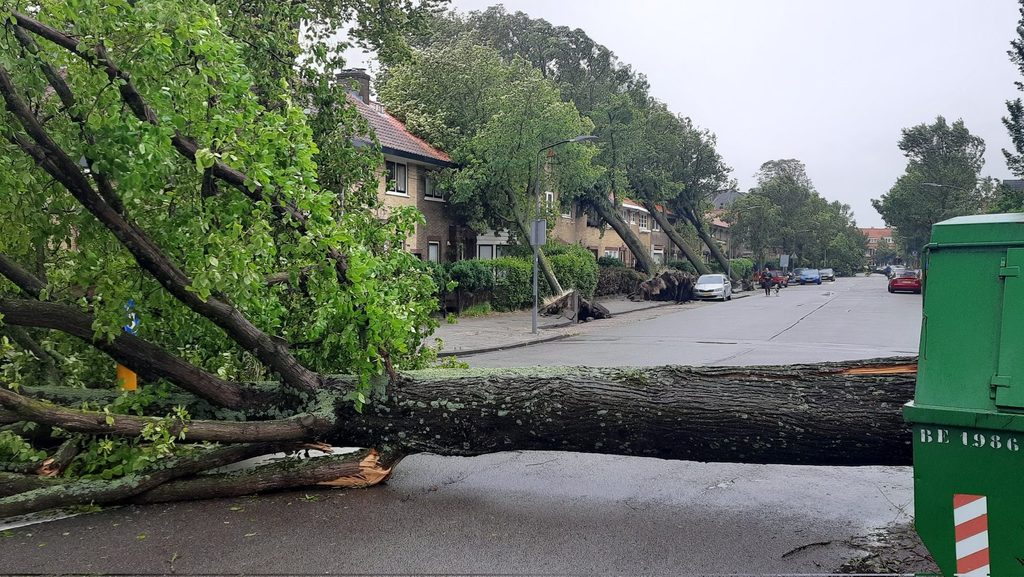 Storm in Netherlands: Hundreds of flights cancelled at Schiphol and trains suspended