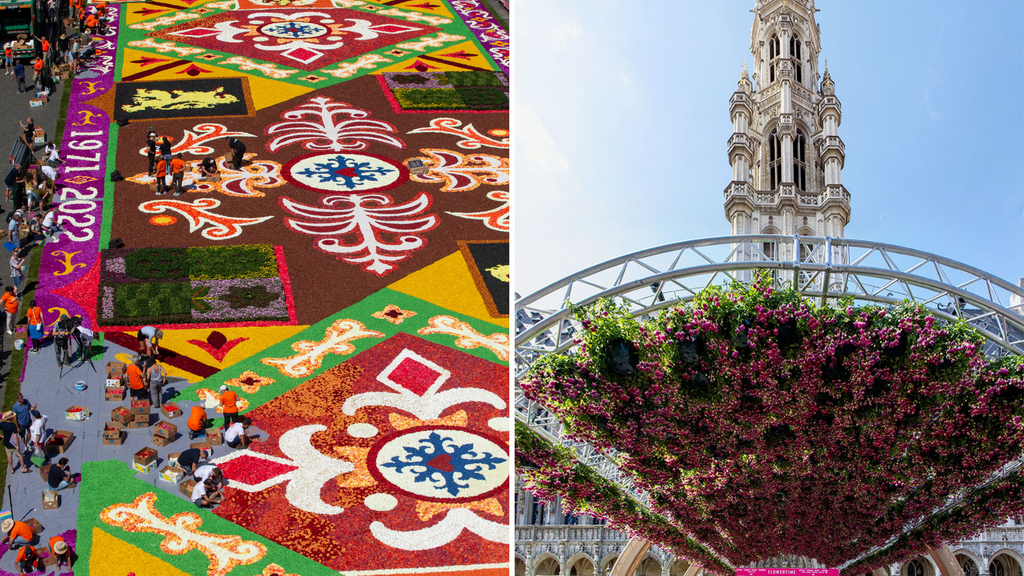 Blooming City Hall replaces Brussels Flower Carpet this year