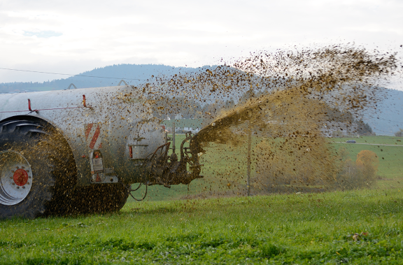 Two thirds of soils in Europe are in bad condition, says EU report